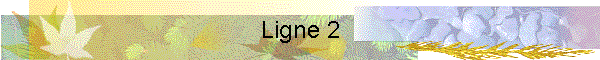 Ligne 2