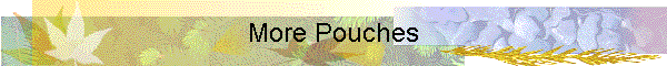 More Pouches