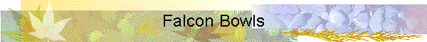 Falcon Bowls