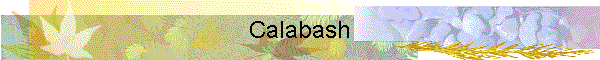Calabash