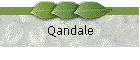 Qandale