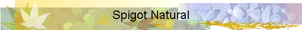 Spigot Natural