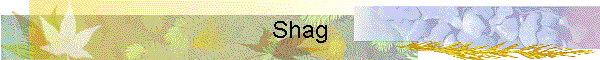 Shag