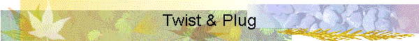 Twist & Plug